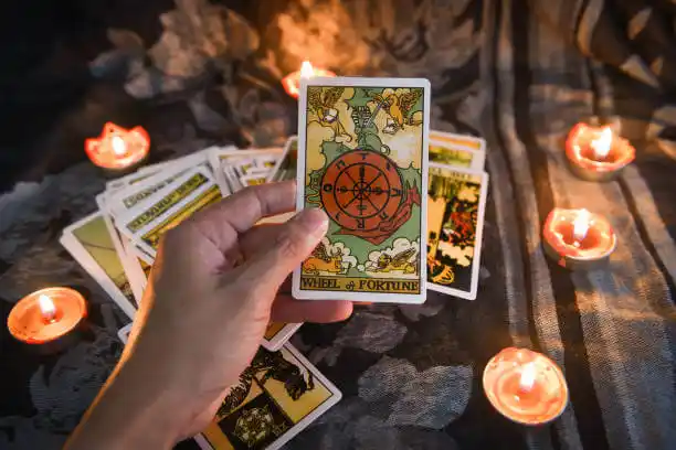 tarot cards Orono